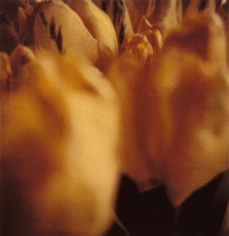 Twombly, Tulip 4